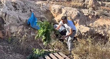 Şanlıurfa'da Mağarada Büyük Uyuşturucu Operasyonu: Binlerce Hap ve Kenevir Bitkisi Ele Geçirildi