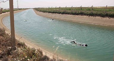 Şanlıurfa'da sulama kanalına düşen çocuk aranıyor