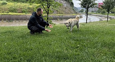 Sarıyer'de Bankaya Sığınan Köpek Alarm Çaldırdı