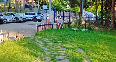 Sinop'ta Alacak-Verecek Kavgası Kanlı Bitti: 1 Yaralı