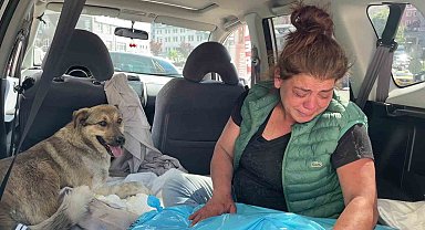 Tedavi için kliniğe getirdiği köpeği ölünce, yaralı sokak köpeğini gözyaşlarıyla sahiplendi