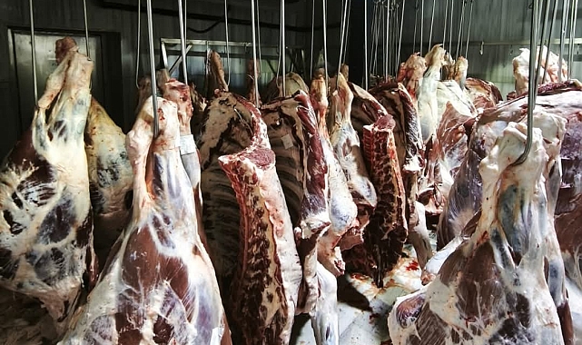 Trakya&#039;da Yasa Dışı Hayvan Sevkiyatına Geçit Yok: 9 Büyükbaşa 105 Bin TL Ceza