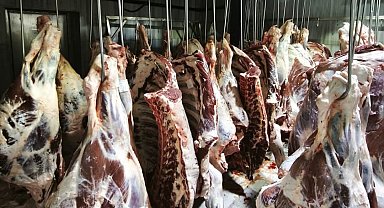 Trakya'da Yasa Dışı Hayvan Sevkiyatına Geçit Yok: 9 Büyükbaşa 105 Bin TL Ceza