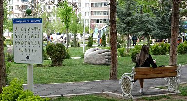 Van'dan KKKA Uyarısı: Sıcak Havalarda Kene Tehlikesine Dikkat!