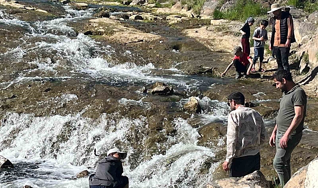 Van'ın İnci Kefali Göçü Ziyaretçilerin Gözdesi Oldu