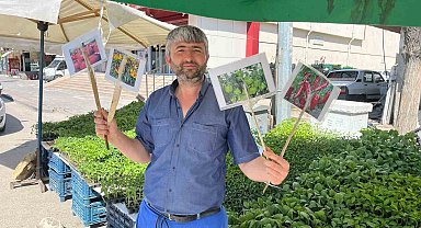 Yozgat'ta Bahar Sebze Fidesi Telaşını Başlattı: Bahçeler Dolup Taşıyor
