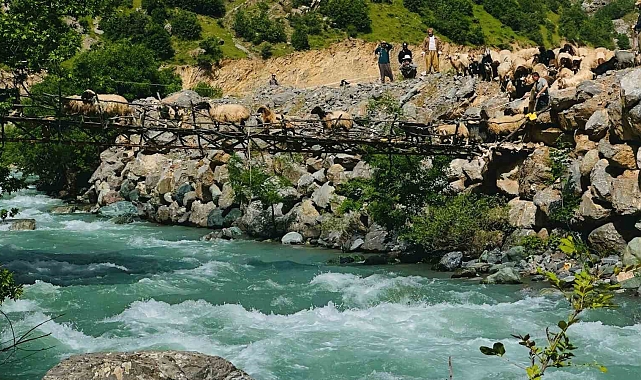 Yüksekova'da Nefes Kesen Manzara: Koyun Sürüsü Asma Köprüden Geçti