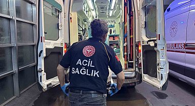 Adıyaman'da Yılan Sokması! Hastaneye Kaldırıldı