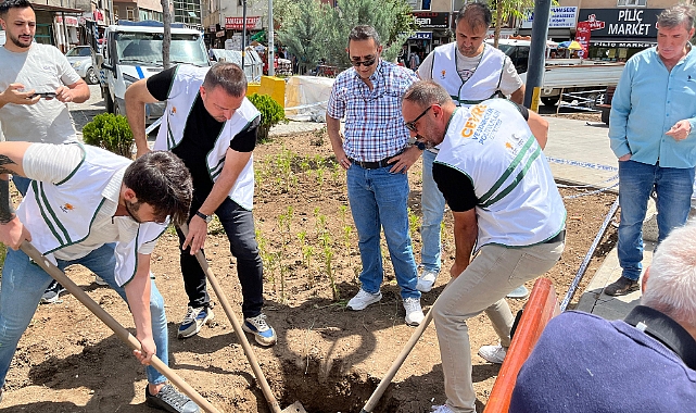 AK Parti Iğdır'dan Çevre Haftası'na Anlamlı Dokunuş: Şube Sokak Parkı'na Fidan Dikimi