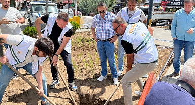 AK Parti Iğdır'dan Çevre Haftası'na Anlamlı Dokunuş: Şube Sokak Parkı'na Fidan Dikimi