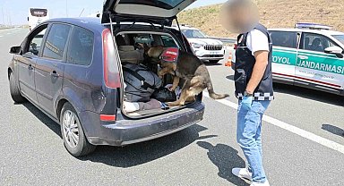 Aksaray'da Narkotik Köpeği Etap'tan Başarılı Operasyon: Uyuşturucuyu Patisiyle Çıkardı!