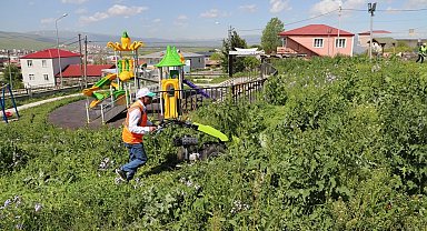 Ardahan Belediyesi'nden park ve bahçelerde bakım çalışması