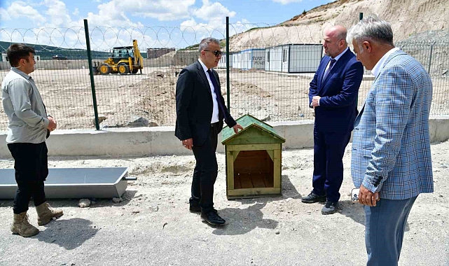 Ardahan&#039;da sahipsiz hayvanlara yeni bir yuva