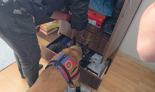 Artvin&#039;de uyuşturucu operasyonu: 7 zehir taciri tutuklandı