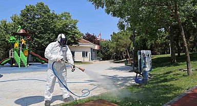 Ataşehir Belediyesi'nden Kene ve Haşereye Karşı Kapsamlı İlaçlama Hamlesi