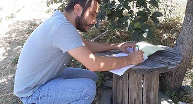 Aydın Söke'de Domates Serlerinde Pestisit Kontrolü Başlatıldı