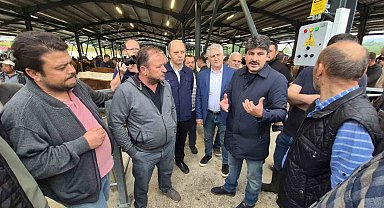 Bartın Kurban Pazarı Bayram Hareketliliğiyle Dolu: Güvenli ve Hijyenik Ortamda Satışlar Devam Ediyor