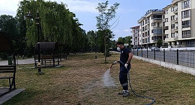 Bartın'da Parklarda Kene ve Pire İlaçlaması Başladı