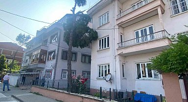 Bartın'da Tehlike Arz Eden Ağaç Kesildi!