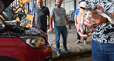 Başiskele'de Minik Kedi Otomobil Motorundan Kurtarıldı!
