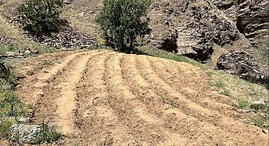 Bingöl'de Uyuşturucu Operasyonu: Binlerce Kök Kenevir ve Metamfetamin Ele Geçirildi