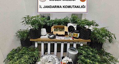 Bodrum'da Narkotik Operasyonu: Çok Miktarda Uyuşturucu Madde Ele Geçirildi, 1 Tutuklama!