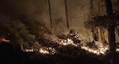Bolu Göynük'te Orman Yangını Devam Ediyor: Gece Boyunca Karadan Müdahale
