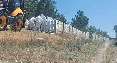Çorum'da Kene Isırması Can Aldı: İsmet A. Hayatını Kaybetti