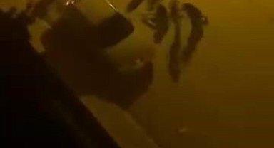 Elazığ'da Bıçaklı Kavga: 1 Yaralı