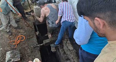 Elazığ'da Foseptik Çukura Düşen Kurbanlık Boğa Vinçle Kurtarıldı