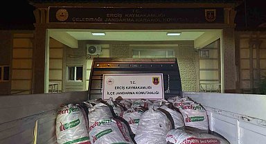 Erciş'te 2 Ton Kaçak İnci Kefali Ele Geçirildi