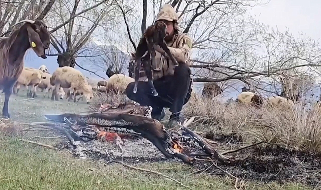 Erzincan'da Çoban, Doluya Yakalanan Yeni Doğan Oğlağı Ateşle Isıttı