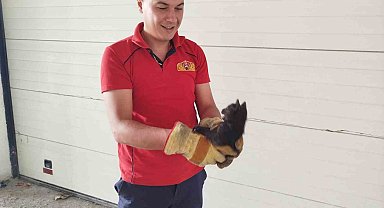 Erzincan'da Otomobil Kaputunda Sıkışan Yavru Kediler Kurtarıldı