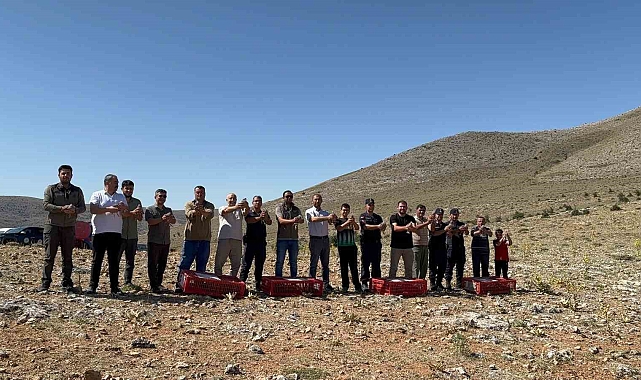 Eskişehir&#039;de Süne Mücadelesi İçin Doğaya 500 Keklik Salındı