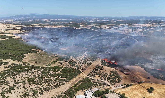Ezine&#039;deki Yangında 287 Futbol Sahası Büyüklüğünde Alan Zarar Gördü