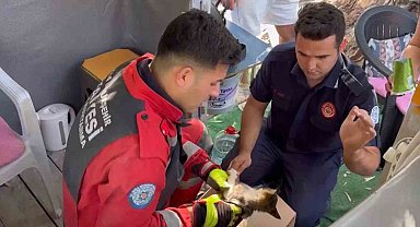 Fethiye'de Otomobil Motoruna Sıkışan Yavru Kedi Kurtarıldı
