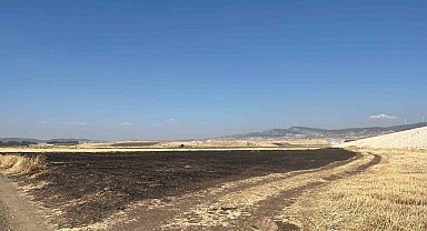 Gaziantep'te Anız Yakan Şahsa 47 Bin TL Ceza