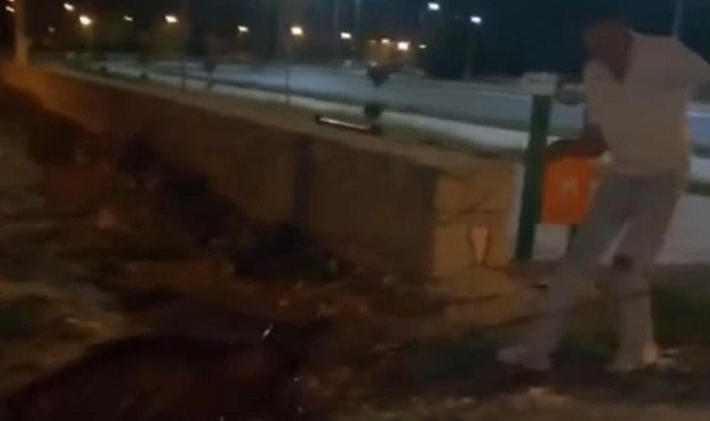 Gençlerin Duyarlı Davranışı Yaban Domuzlarını Kurtardı: Iğdır'da Kanaldan Kurtarma Operasyonu