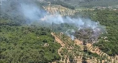 Germencik'teki Orman Yangınına 6 Helikopterle Havadan Yoğun Müdahale