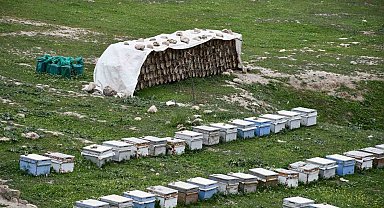 Göçer Arıcılar Cehennem Deresi'nde Bal Üretimine Başladı