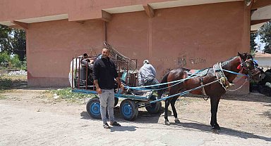 Hatay Kumlu'da Üzücü Kaza: Sahipsiz At Duvara Çarparak Telef Oldu