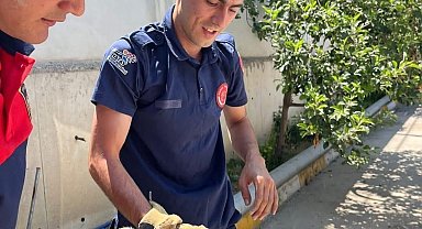 Hatay'da Aracın Kaputuna Giren Yavru Kedi İtfaiye Ekiplerince Kurtarıldı