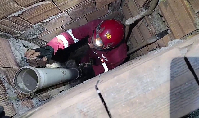 Hatay&#039;da Bina Boşluğuna Düşen Yavru Kedi Kurtarıldı: Yaşlı Kadının Sevinci Yürek Isıttı!