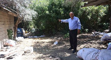 Hatay'da 'En Uysal' Denilen Kurbanlık Boğa Karayolunu Birbirine Kattı!