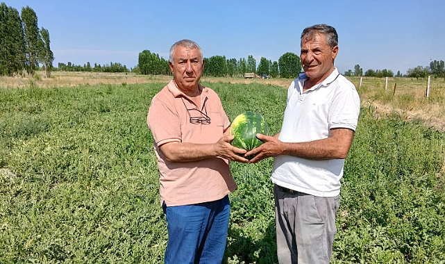 Iğdır'da Erken Hasat Heyecanı: Alican Açkan'dan Karpuzda Rekor Erken Çıkış