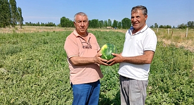 Iğdır'da Erken Hasat Heyecanı: Alican Açkan'dan Karpuzda Rekor Erken Çıkış
