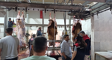 Iğdır'da Kurban Bayramı Denetimleri Hız Kesmiyor: Ekipler İş Başında!