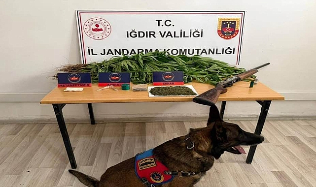 Iğdır'da Uyuşturucu Operasyonu: Bir Şüpheli Tutuklandı