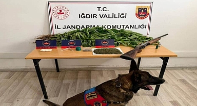 Iğdır'da Uyuşturucu Operasyonu: Bir Şüpheli Tutuklandı