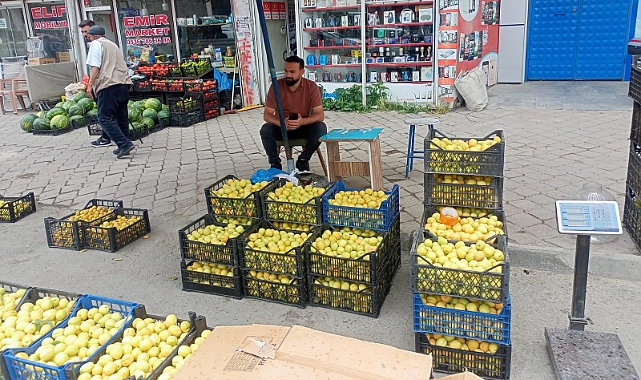Iğdır Kayısısında Fiyatlar Beklenenin Altında Kaldı!